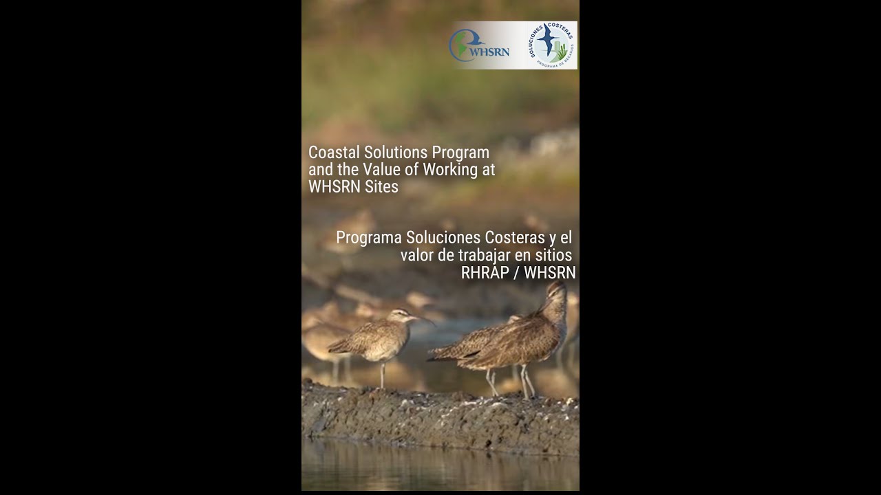Programa Soluciones Costeras y el valor de trabajar en sitios RHRAP / WHSRN