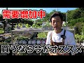 【夏までに植えたい】〇〇の人気がヤバい!!!【カーメン君】【園芸】【ガーデニング】【グリーンカーテン】