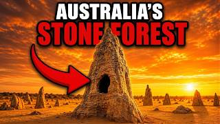 What Happened at the Pinnacles Near Perth Has Never Been Fully Explained