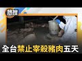 非洲豬瘟疫情