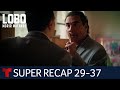 Lobo, Morir Matando: super recap, episodes 29 to 37 | Telemundo English
