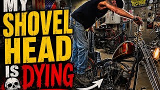 Shovelhead or Troublehead 
