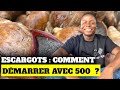 Escargots  comment dmarrer avec 500 