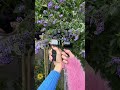 Just rotated the Osmo Pocket 3 and spring officially began🌷| Osmo Pocket 3