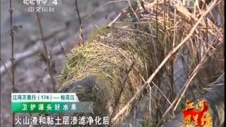 20141229 远方的家  江河万里行（174）——松花江 松花江畔好水来