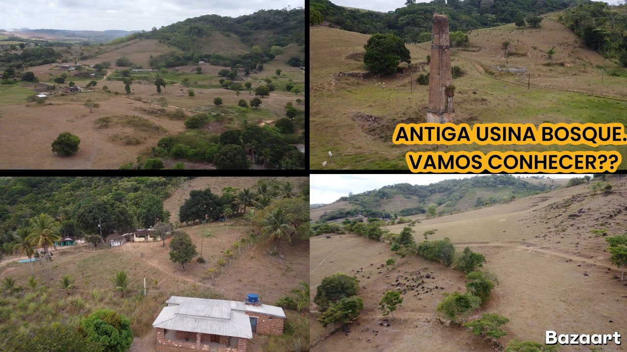 ANTIGA USINA BOSQUE. SUA CHAMINÉ RESISTE AO TEMPO.