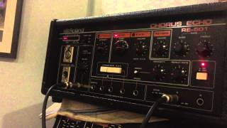 Macbeth M5 + Roland RE-501 Drone