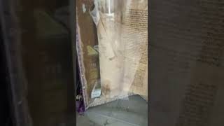 קבורת רחל אשת רבי עקיבא
