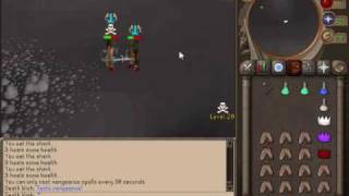 Pwnscape pking 2