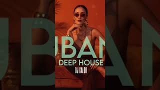 CUBANO DEEP CALOR HOUSE Necesito Tu Amor Dj Calor | MALEKO Short 073