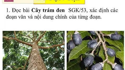 Khối 4  Tuần 23 TLV   Đoạn văn trong bài văn miêu tả cây cối  Autosaved