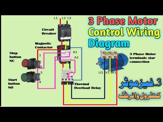 Three Phase Motor Control Wiring - Infoupdate.org