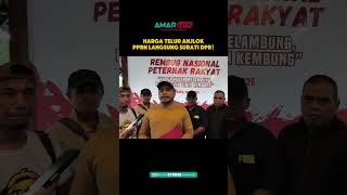 Harga Telur AnjlokPPBN Langsung Surati DPR! #amarfarm #peternakbebekpetelur