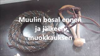 Bosalin Sovittaminen Ja Muokkaaminen Muulin Päähän Sopivaksi