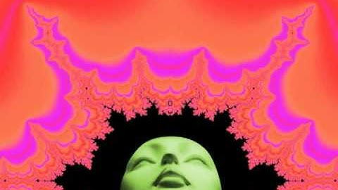 Organize Your Data for Collectible Online Sale