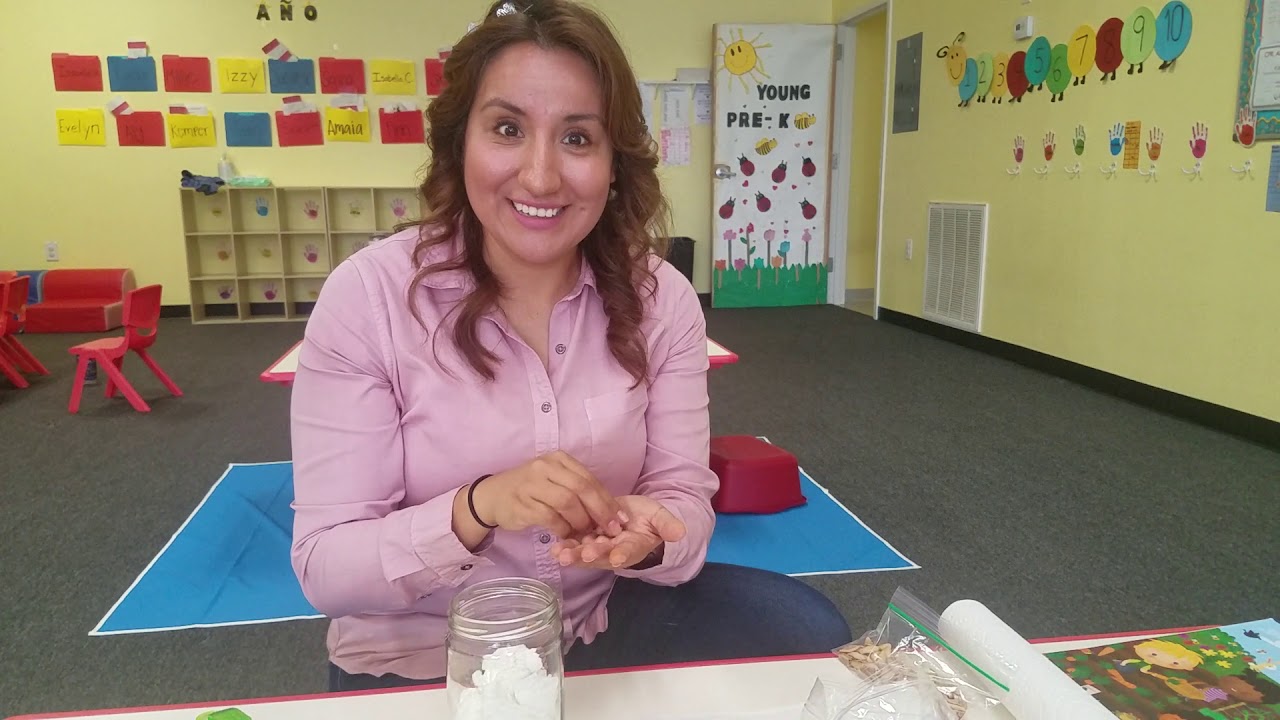Plant a Seed Science Project in Spanish with Maestra Edlín