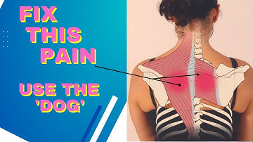 Spinal Manipulation of the Thoracic spine - (Dog technique)