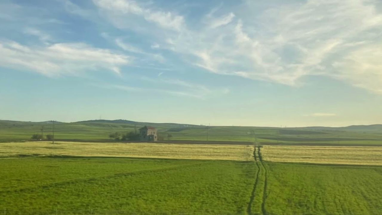 Paolo Ugoletti - Solid Lines