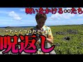 【呪詛返し動画】しつこくて鬱陶しい人に呪いを返しておきました。