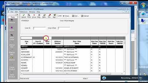 JDE / E1 F95921 User Role Integrity P5595921