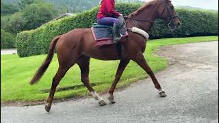 Advert reference - 378063