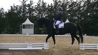 Skye Park Rugs Dressage Championships 2025