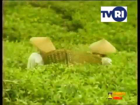 TVRI SIGN OFF RAYUAN PULAU KELAPA