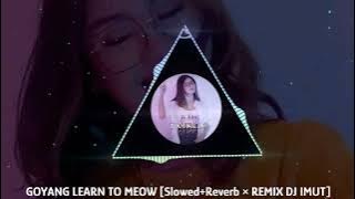 GOYANG LEARN To MEOW [Slowed Reverb × REMIX DJ IMUT] GHEA YOUBI | VISUALISER