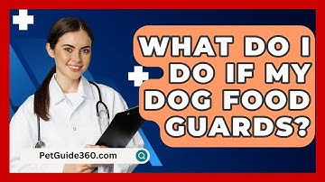 What Do I Do If My Dog Food Guards? - PetGuide360.com