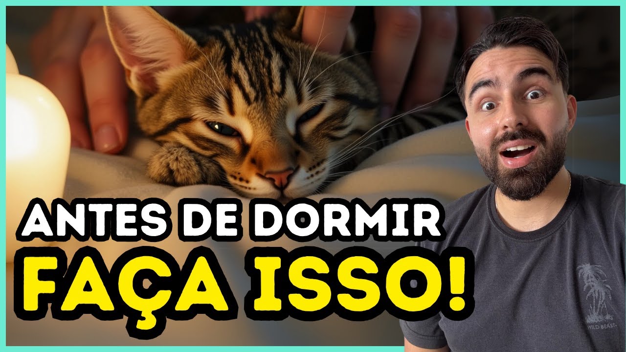 Faça ISSO Com Seu Gato ANTES DE DORMIR e a Vida Dele Vai Mudar!