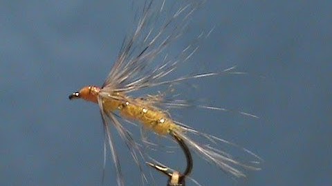 Beginner Fly Tying an Orange Grizzly Fishhawk with Jim Misiura