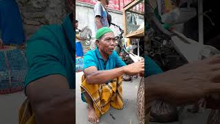 Merpati Papiq Timah