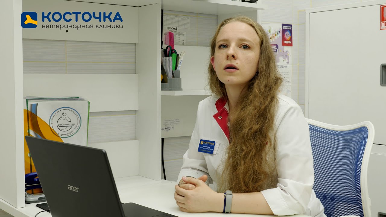 Почему собака ест фекалии