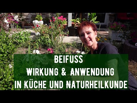 Video: Kannst du mit Beifuß kochen?