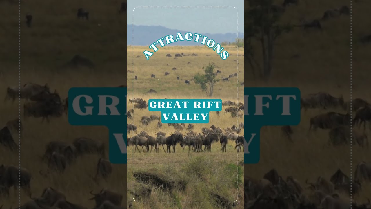 Nairobi, Wildlife Safari & Nyahururu Kenya in 10 Days, Including Flights $2499* Per Person