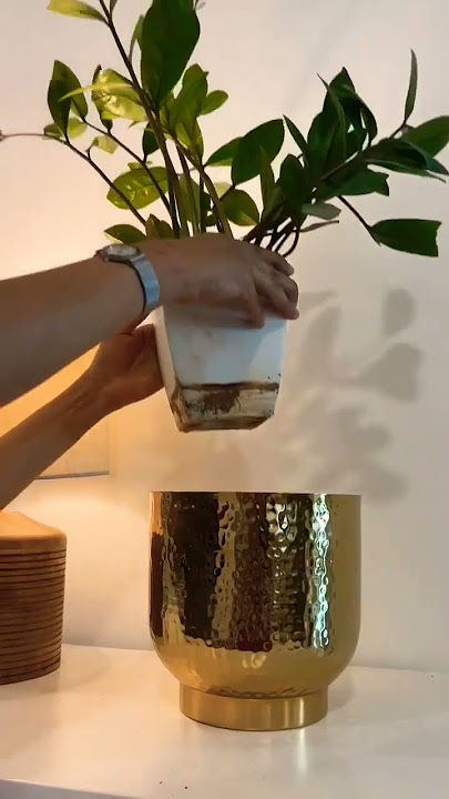 Best Decorative Metal Pot 🔥 | Indoor Plants . #gardening #indoorplants #shorts #gardenbeauty