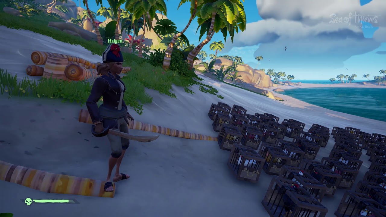 Sea of Thieves Look at all those chickens YouTube
