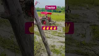 Sig Sig Zone Yt Zone Yt