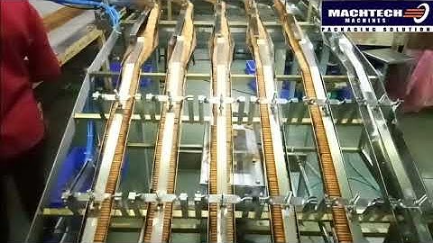 Automatic Biscuit Feeding System with Biscuit Packing machine