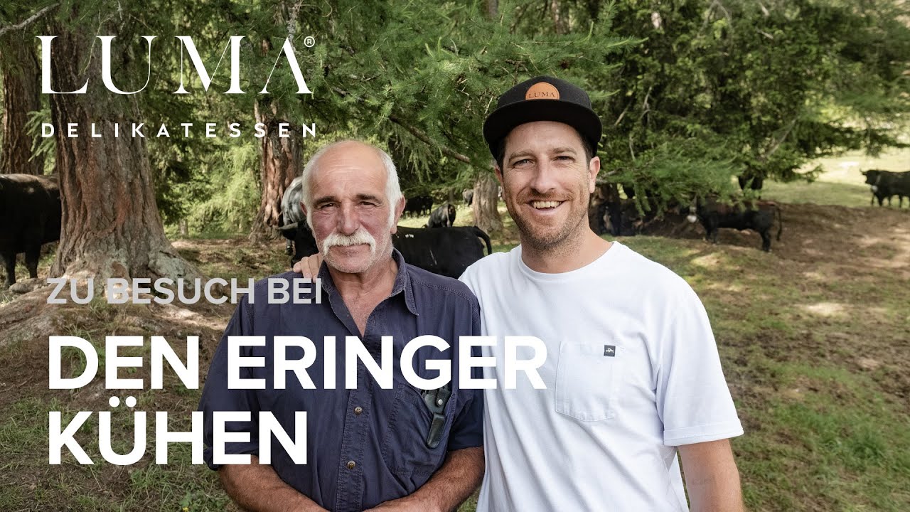 Zu Besuch bei den Eringer Kühen