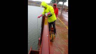 Sediment Grab Sampler