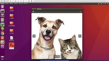 088 文件操作 01 文件操作套路以及Python中的對應函數和方法