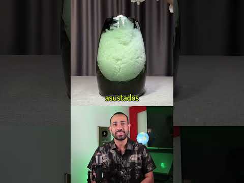 Curiosidades (99)