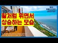 부산부동산 부산아파트 활처럼 휘면서. 상승하는 모습