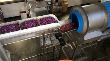 Actionpac B300/MC Mixing Line with | Candy Packaging Machine | Multihead Weighers