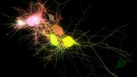 Neural network in action