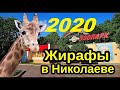 Николаевский  ЗООПАРК самый в Украине  2020  Миколаївський -  відео екскурсія