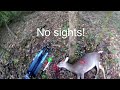 spike buck I shot with no sights!