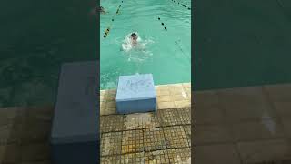 Lomba O2SN Tingkat SD Cabor Renang Dada 50 Meter