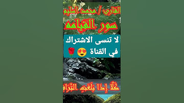 #سورة #القيامه #القارئ #اجمل #صوت #فيديو